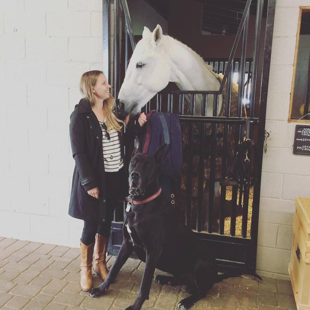 Meet your Posher, Alla